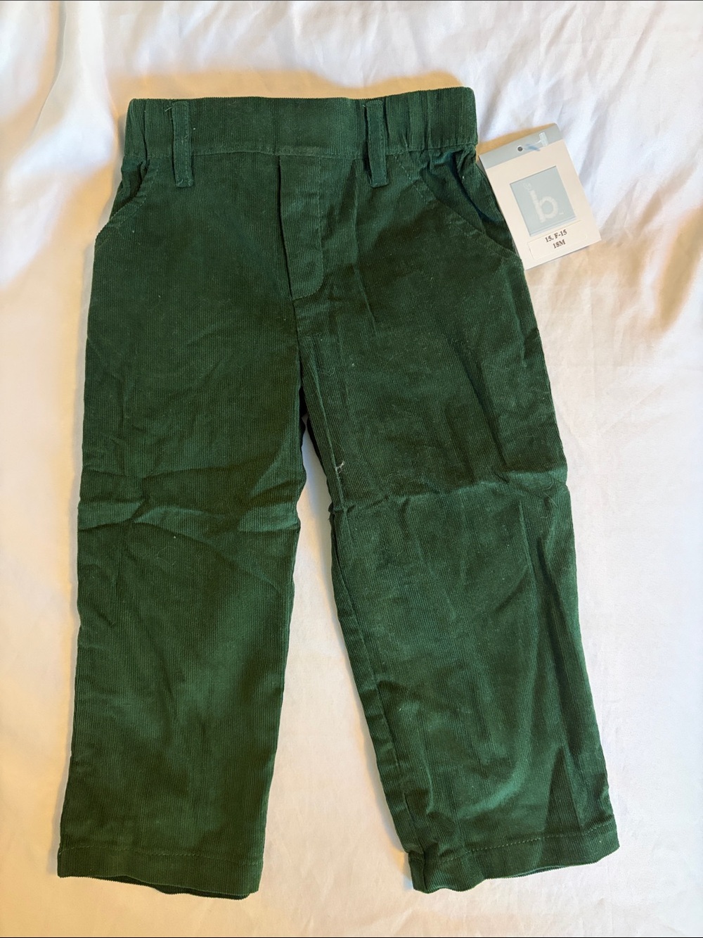 NWT Boys Green Corduroy Pants - Bella Bliss